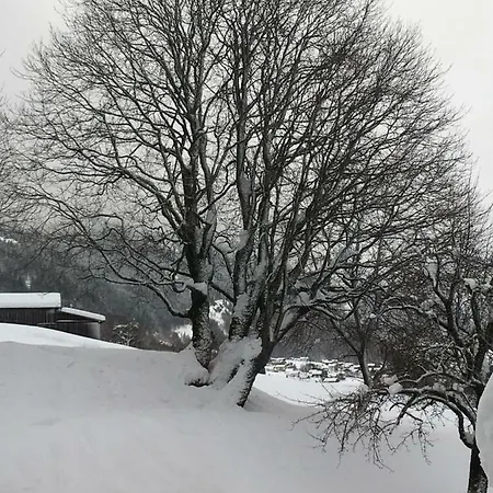 Zamanger Husli Apartmán Sankt Gallenkirch