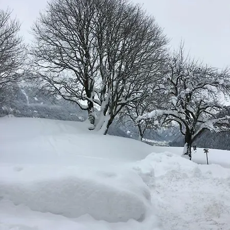 Zamanger Husli Sankt Gallenkirch