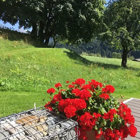 Lejlighed Zamanger Husli *